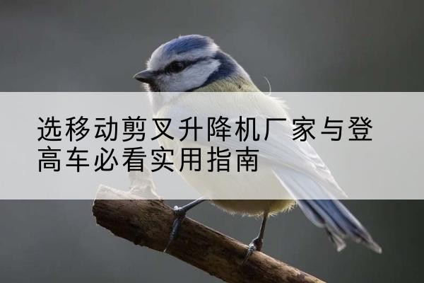 盈江电动升降机厂家-选移动剪叉升降机厂家与登高车必看实用指南