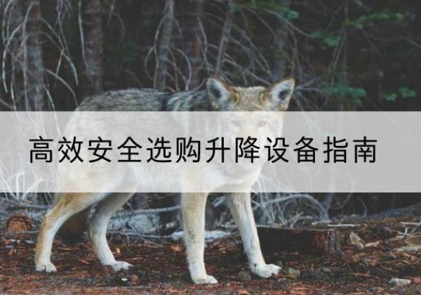 盈江升降货梯厂家推荐-*安全选购升降设备指南